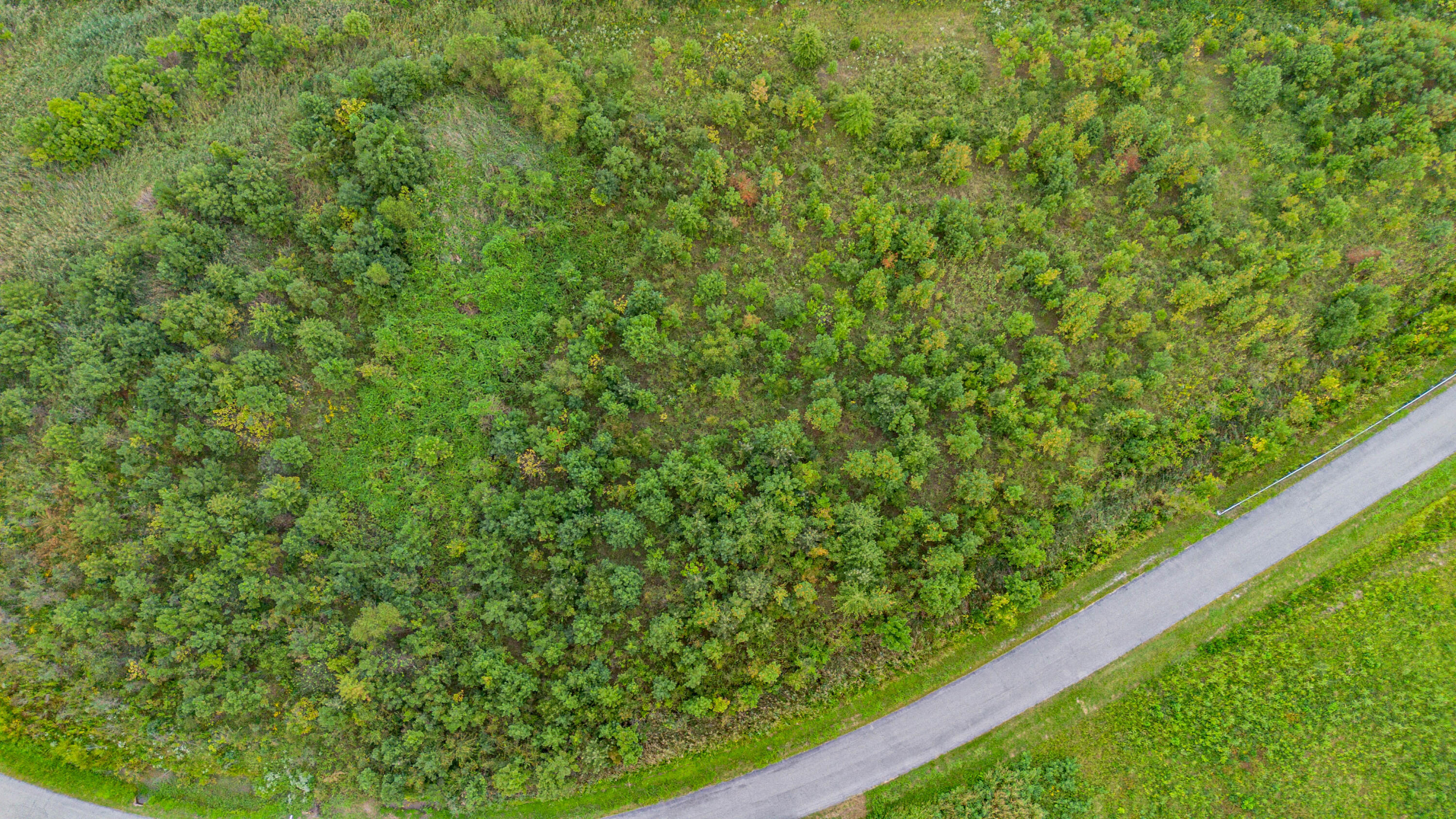 4950 Schneidman Road Paducah, KY 42003 - Photo 18 of 40 DJI_0855