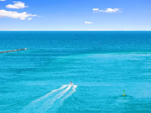 a view of an ocean and a yard