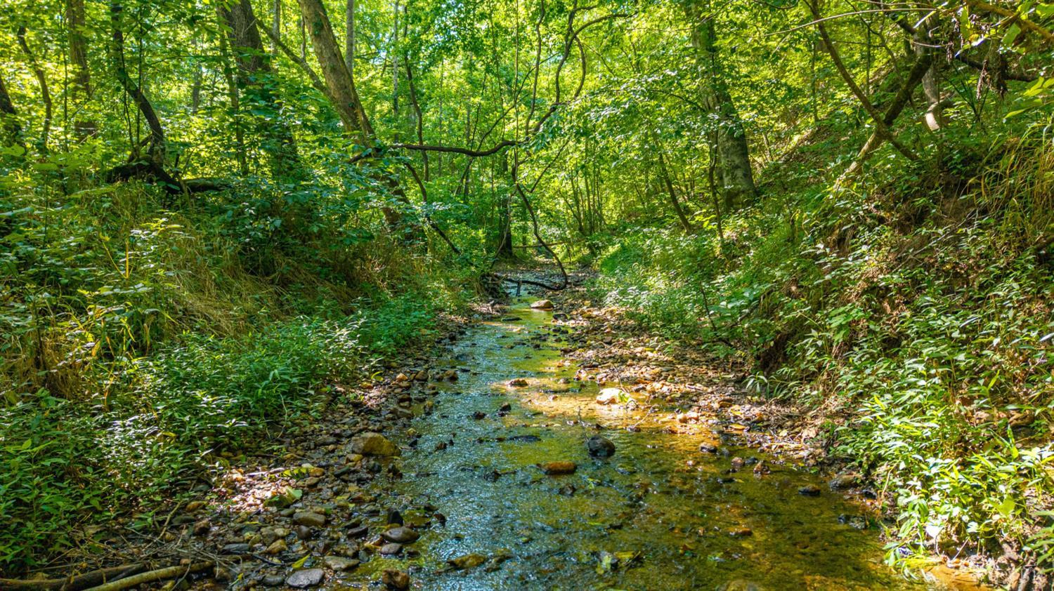 0 Mt Athos Road Lynchburg, VA 24504 - Photo 41 of 42