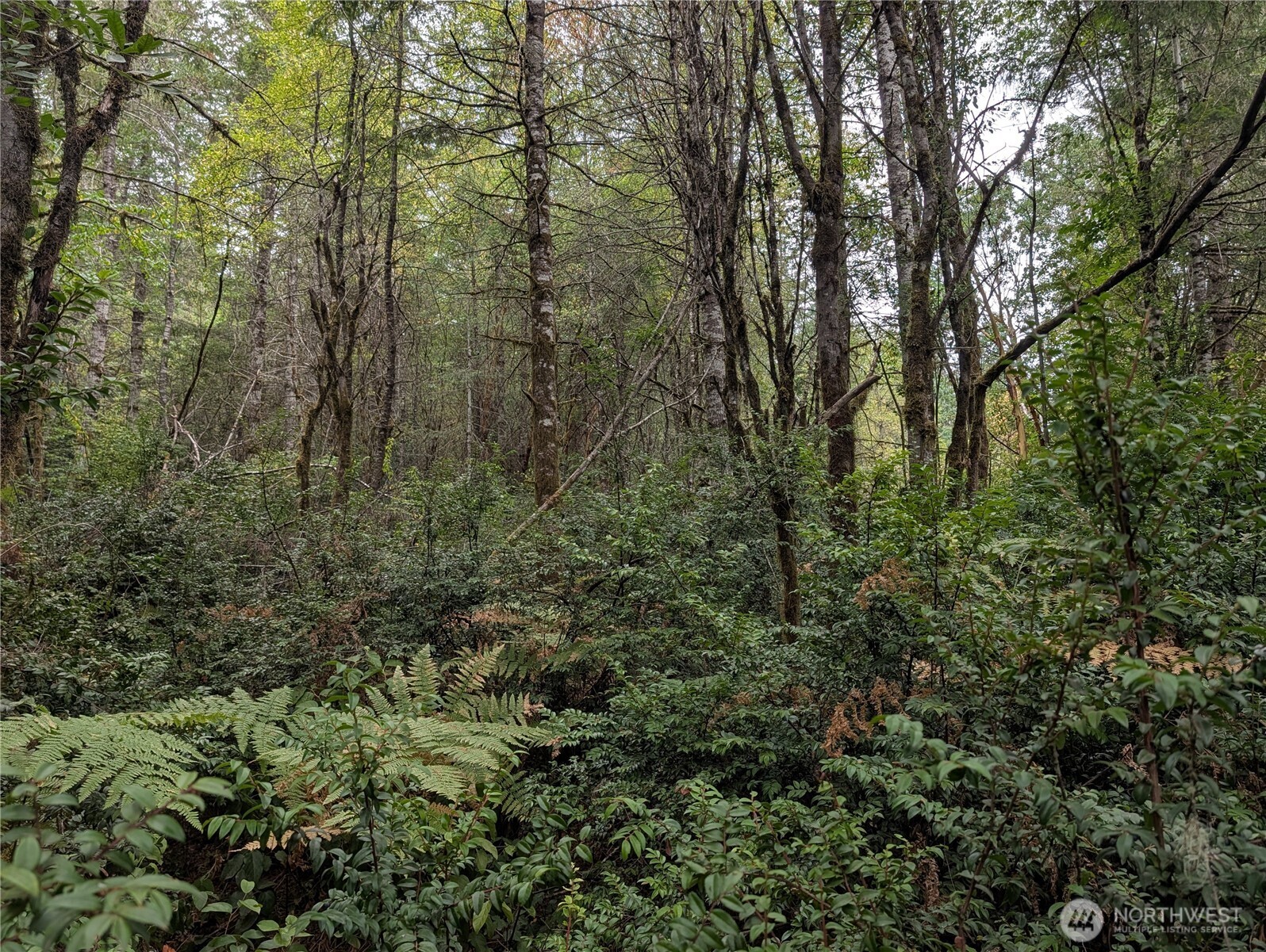 714 Webb Road Southwest Lakebay, WA 98349 - Photo 2 of 2 Gallery Image 2