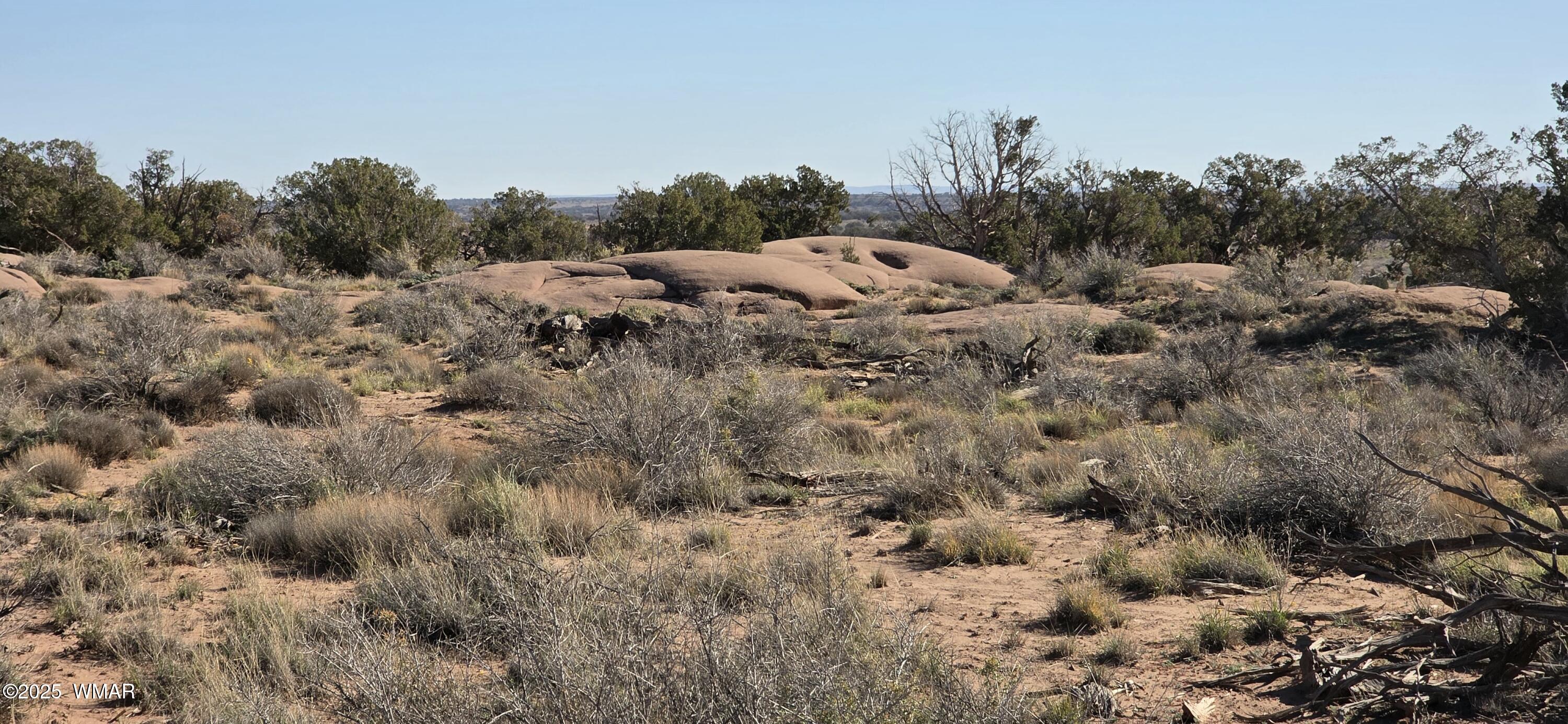 5085 Concho Ocho Road Snowflake, AZ 85937 - Photo 15 of 22 Gallery Image 15