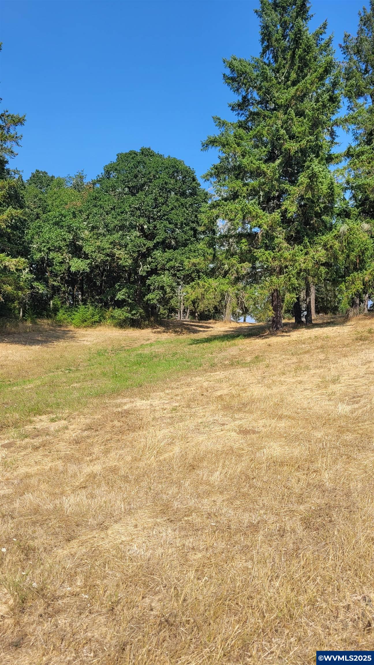 Lot 1300 Pioneer Road Dallas, OR 97338 - Photo 7 of 10 Gallery Image 7