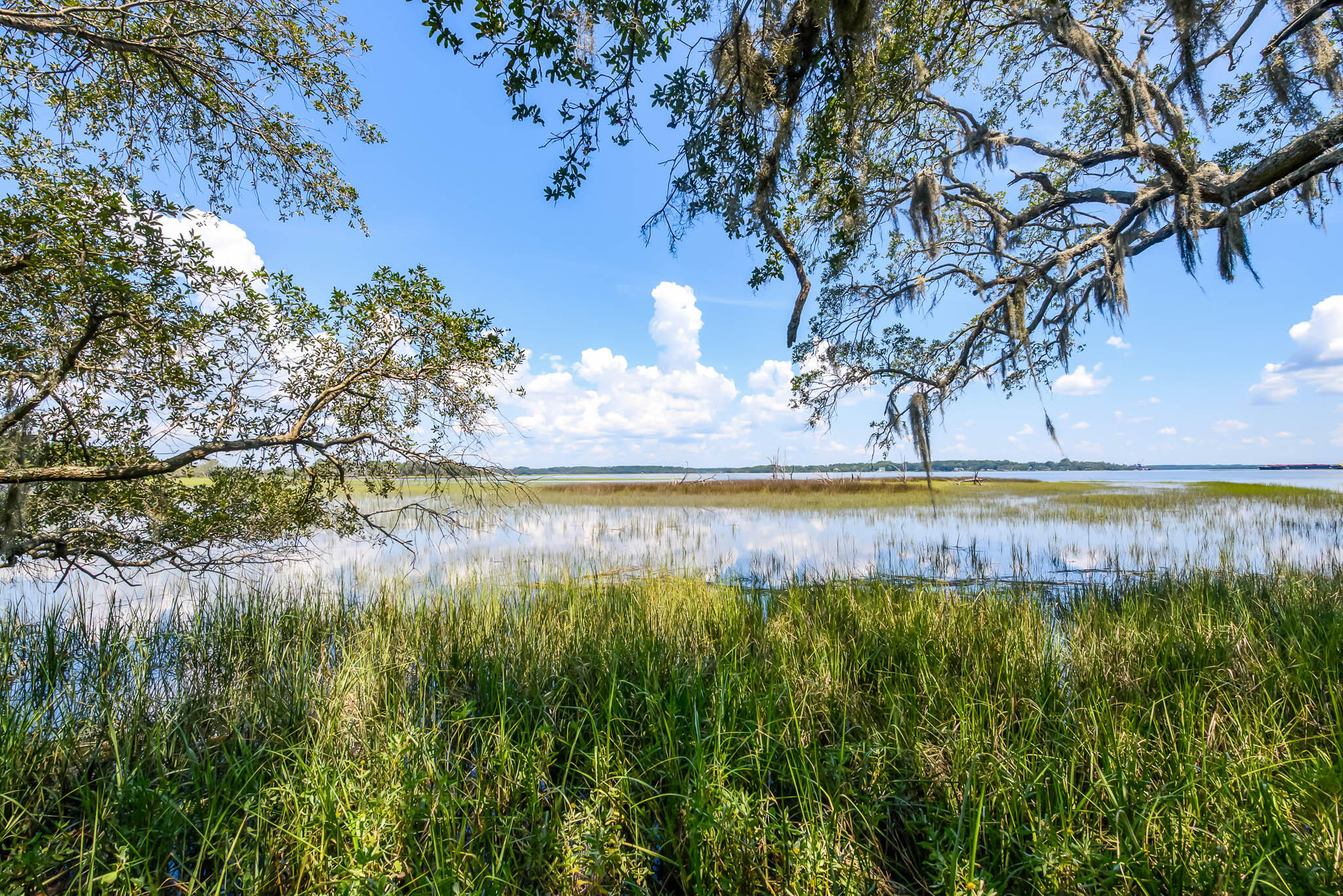 6258 Josie Ridge Road Wadmalaw Island, SC 29487 - Photo 26 of 43 HFL_6258 JOSIE RIDGE-23