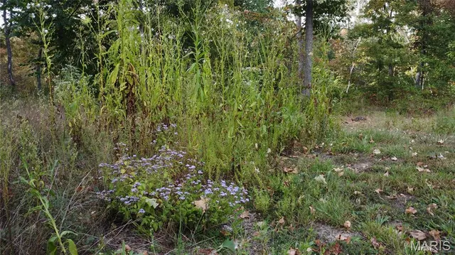 $325,000 | 150 Dubuque Lane, Hillsboro, MO 63050