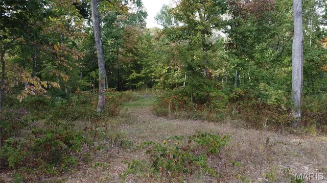 $325,000 | 150 Dubuque Lane, Hillsboro, MO 63050