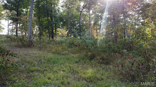 $325,000 | 150 Dubuque Lane, Hillsboro, MO 63050