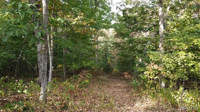 $325,000 | 150 Dubuque Lane, Hillsboro, MO 63050