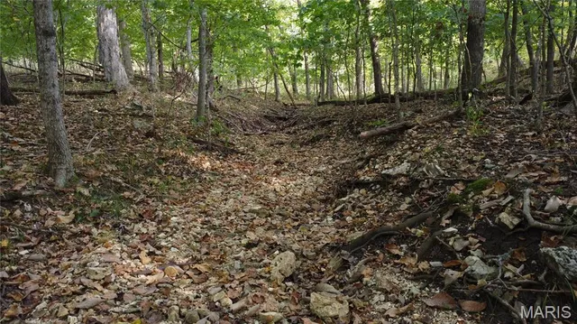 $325,000 | 150 Dubuque Lane, Hillsboro, MO 63050