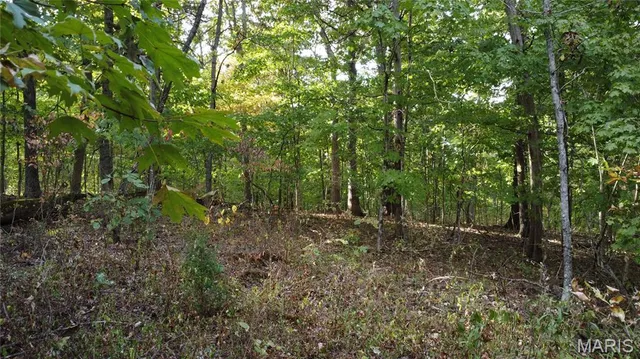 $325,000 | 150 Dubuque Lane, Hillsboro, MO 63050