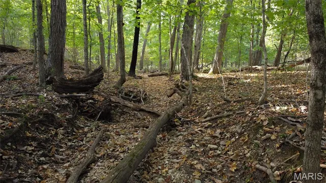 $325,000 | 150 Dubuque Lane, Hillsboro, MO 63050