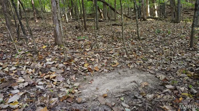 $325,000 | 150 Dubuque Lane, Hillsboro, MO 63050