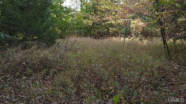 $325,000 | 150 Dubuque Lane, Hillsboro, MO 63050