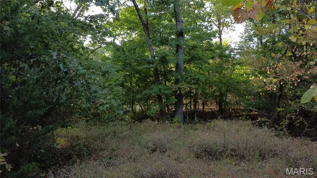 $325,000 | 150 Dubuque Lane, Hillsboro, MO 63050