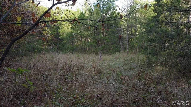 $325,000 | 150 Dubuque Lane, Hillsboro, MO 63050