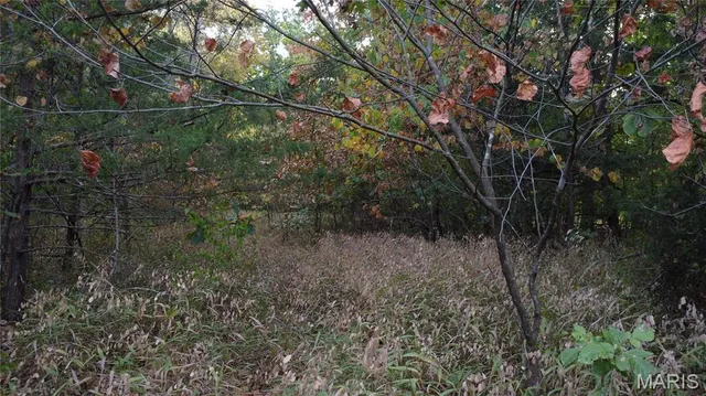 $325,000 | 150 Dubuque Lane, Hillsboro, MO 63050