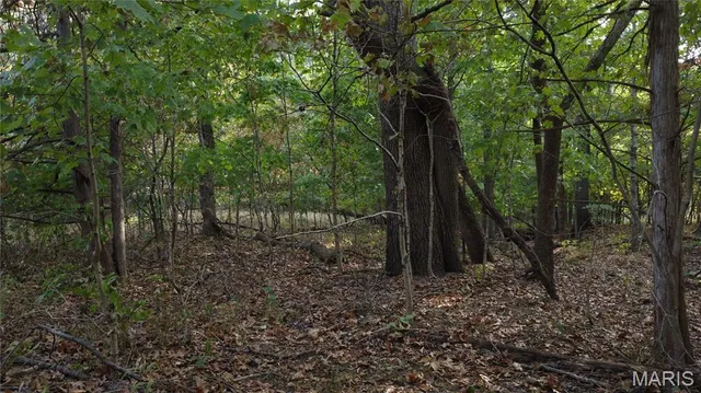 $325,000 | 150 Dubuque Lane, Hillsboro, MO 63050