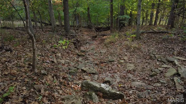 $325,000 | 150 Dubuque Lane, Hillsboro, MO 63050