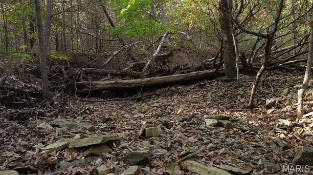 $325,000 | 150 Dubuque Lane, Hillsboro, MO 63050