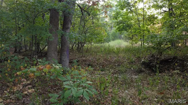 $325,000 | 150 Dubuque Lane, Hillsboro, MO 63050