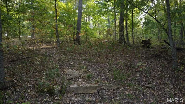 $325,000 | 150 Dubuque Lane, Hillsboro, MO 63050