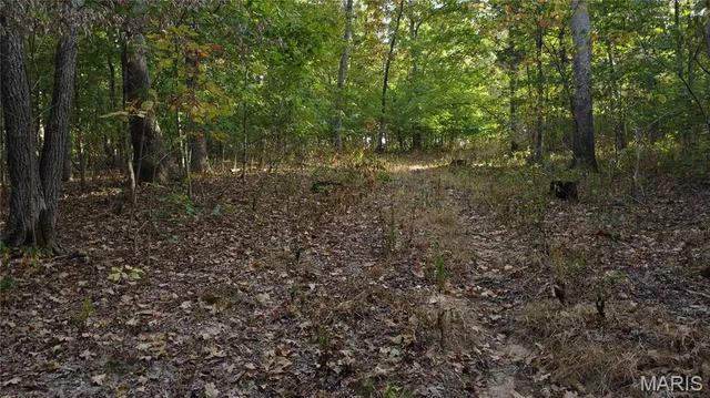 $325,000 | 150 Dubuque Lane, Hillsboro, MO 63050