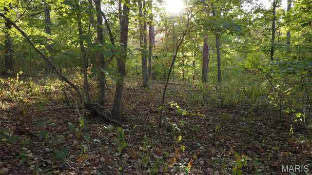 $325,000 | 150 Dubuque Lane, Hillsboro, MO 63050