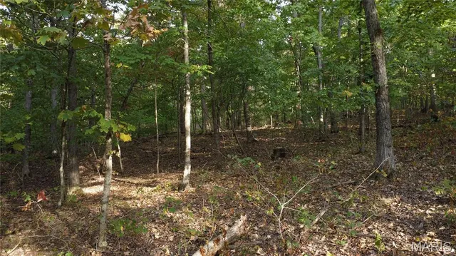 $325,000 | 150 Dubuque Lane, Hillsboro, MO 63050