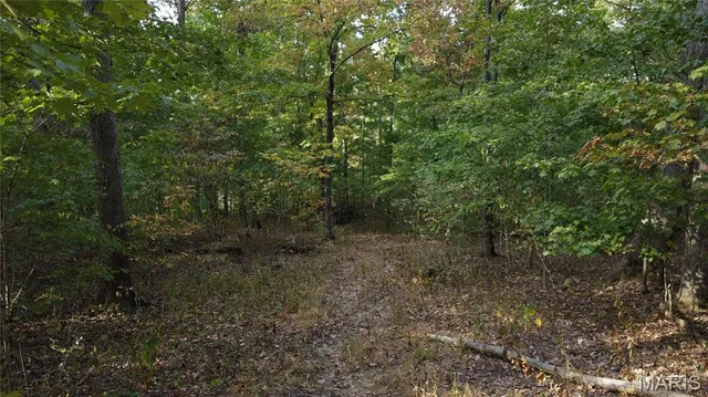 $325,000 | 150 Dubuque Lane, Hillsboro, MO 63050