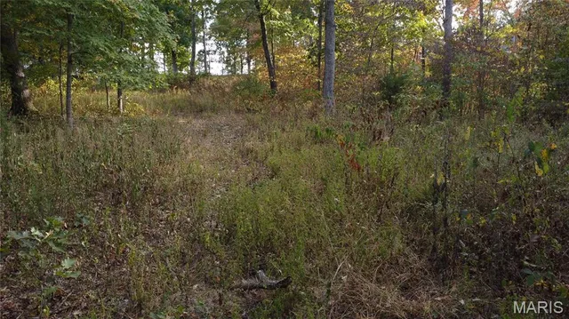 $325,000 | 150 Dubuque Lane, Hillsboro, MO 63050