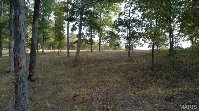 $325,000 | 150 Dubuque Lane, Hillsboro, MO 63050