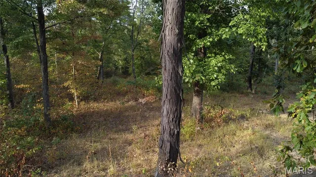 $325,000 | 150 Dubuque Lane, Hillsboro, MO 63050