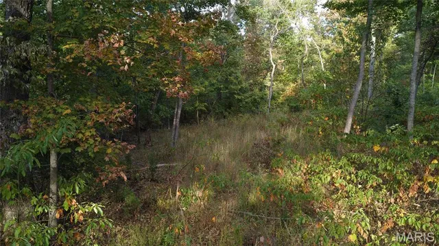 $325,000 | 150 Dubuque Lane, Hillsboro, MO 63050