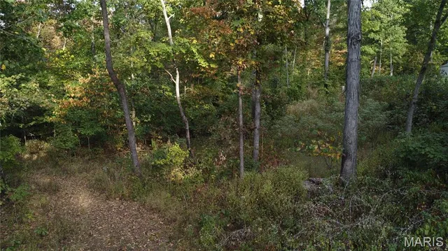 $325,000 | 150 Dubuque Lane, Hillsboro, MO 63050