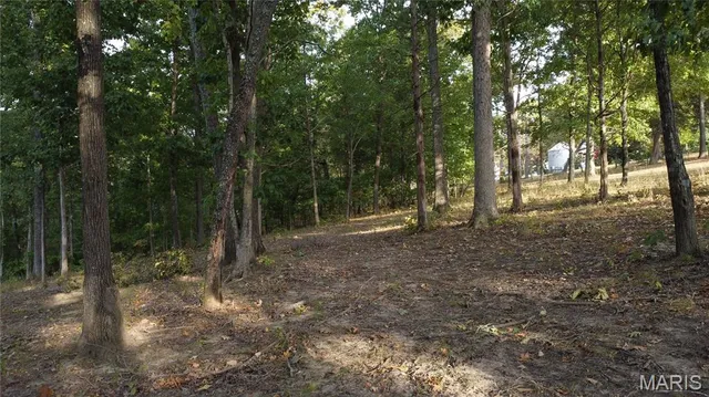 $325,000 | 150 Dubuque Lane, Hillsboro, MO 63050