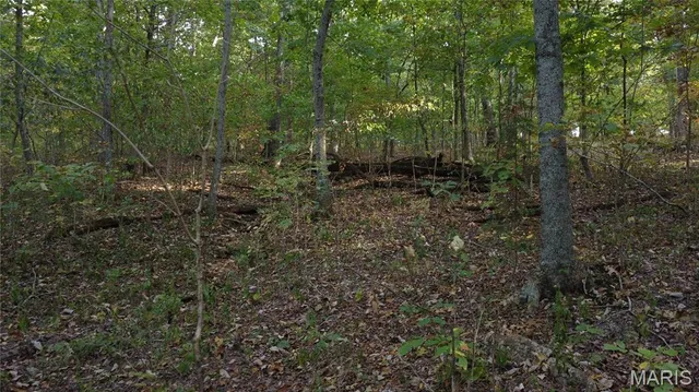 $325,000 | 150 Dubuque Lane, Hillsboro, MO 63050