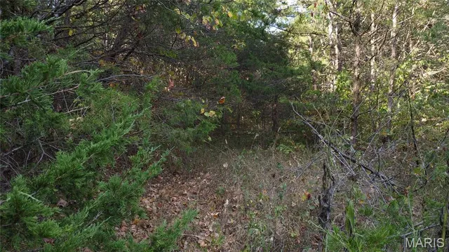 $325,000 | 150 Dubuque Lane, Hillsboro, MO 63050