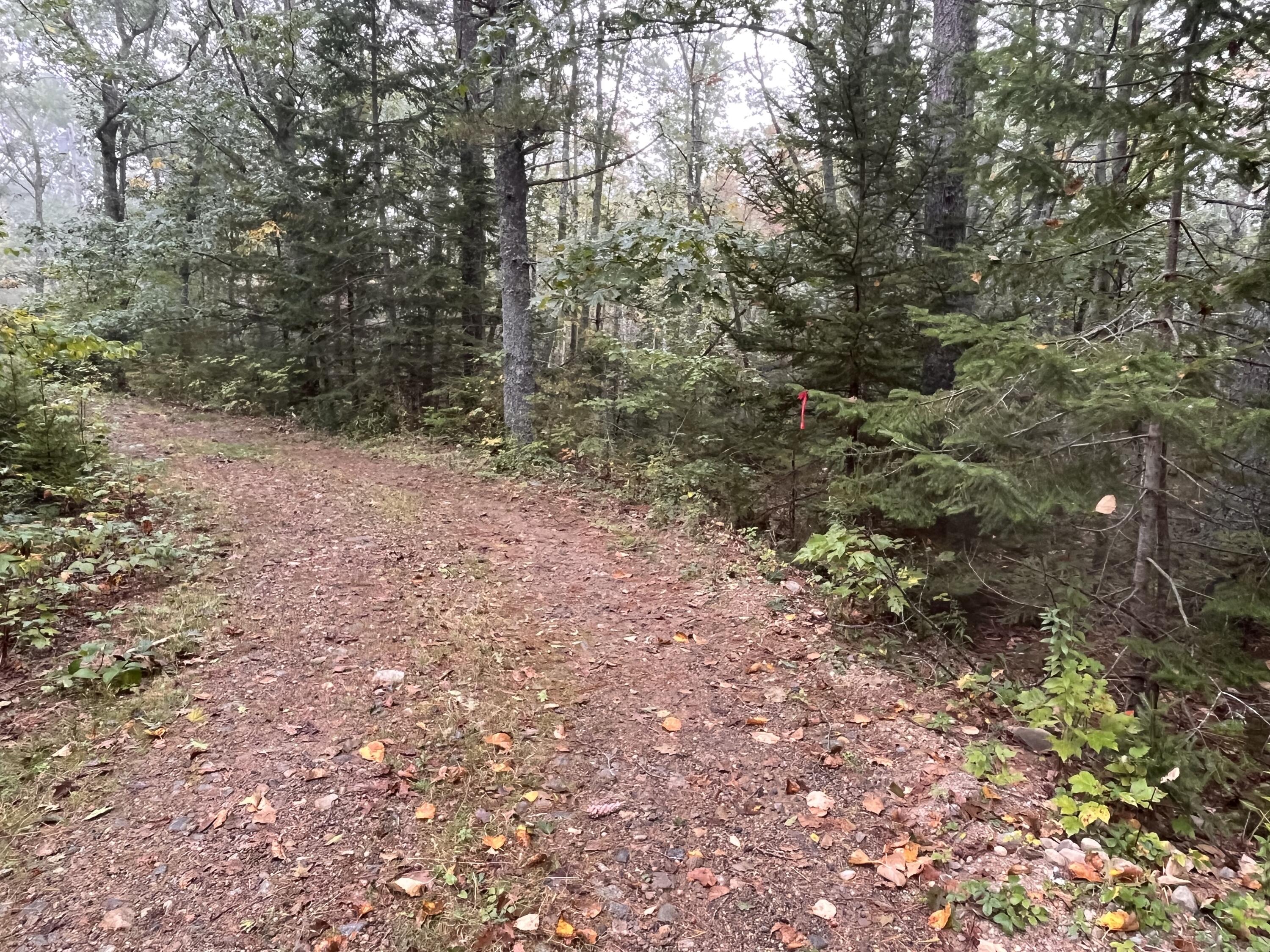 Lot 83 Black Spruce Road Bristol, ME 04539 - Photo 1 of 22 AA994E34-1438-4620-82F3-353FFE18437B