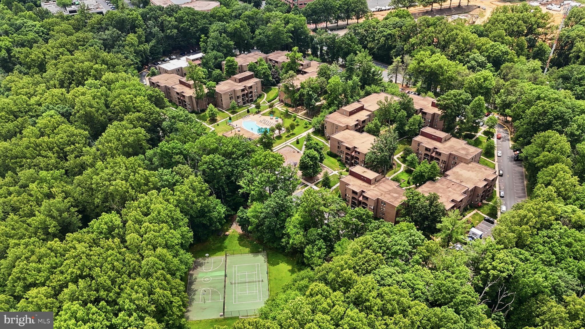 11260 Chestnut Grove Square, Unit 337 Reston, VA 20190 - Photo 66 of 82 Serene community nestled in lush greenery.