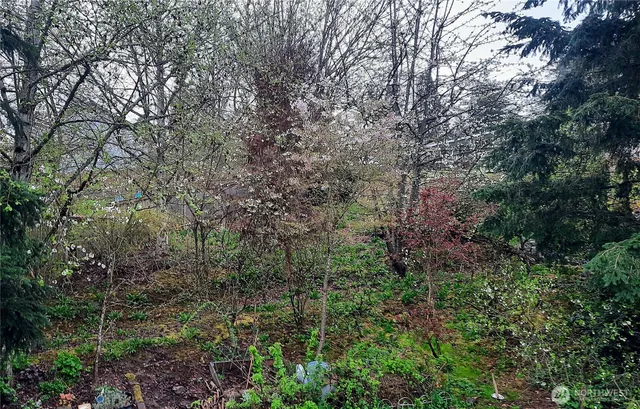 a view of yard with green space