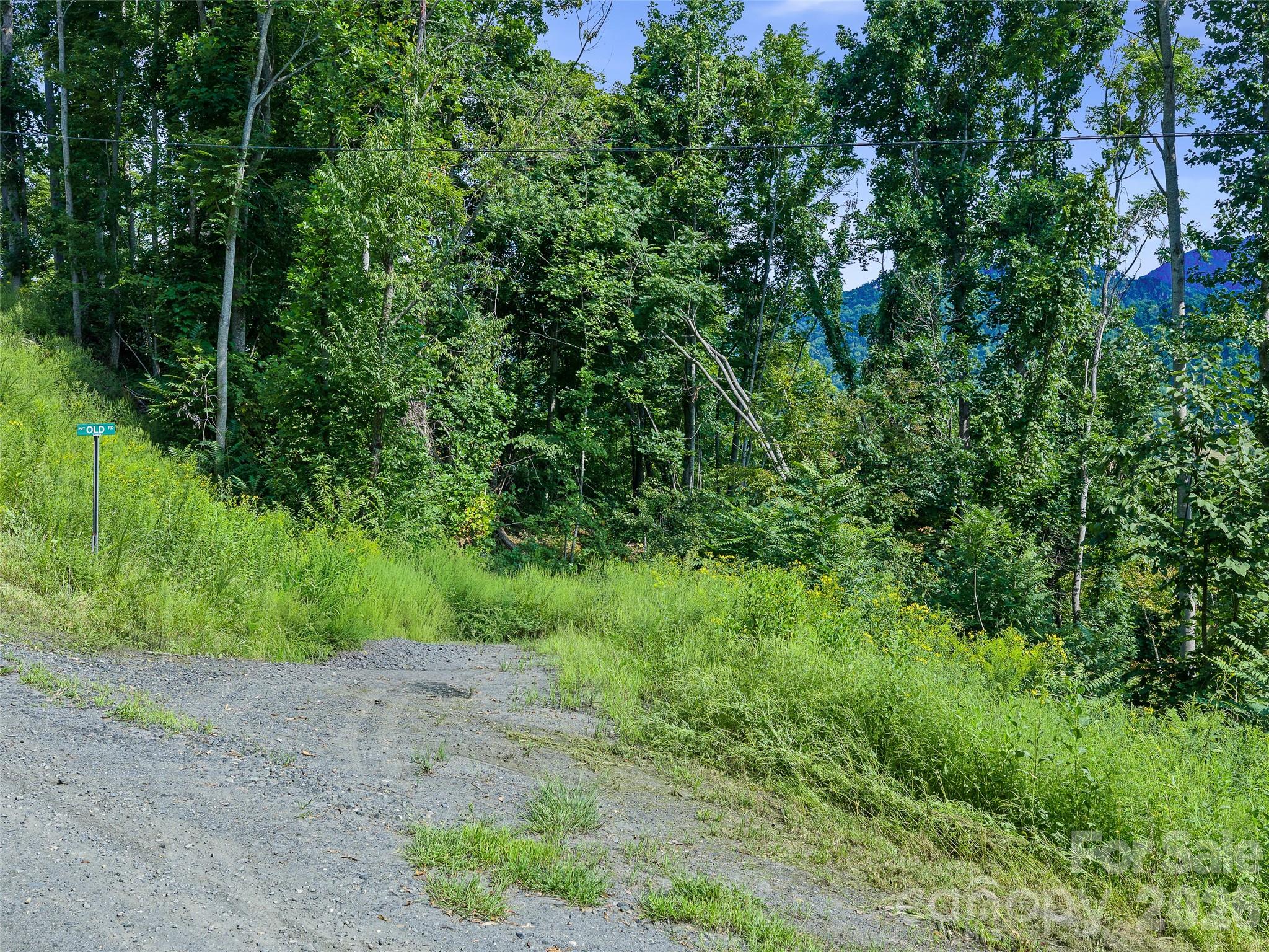 Lot #63-65 Lot#63-65 Bear Ridge Road Bakersville, NC 28705 - Photo 19 of 38 Gallery Image 19