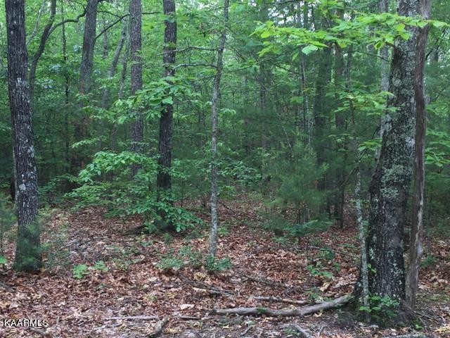 192 Utah Road Tellico Plains, TN 37385 - Photo 11 of 11 Gallery Image 11
