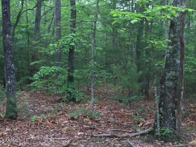192 Utah Road Tellico Plains, TN 37385 - Photo 2 of 11 Gallery Image 2