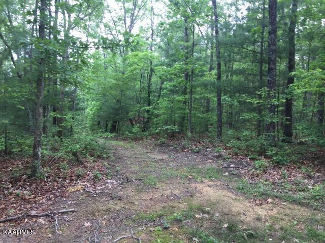 192 Utah Road Tellico Plains, TN 37385 - Photo 3 of 11 Gallery Image 3