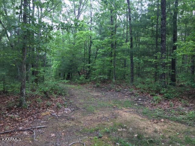 192 Utah Road Tellico Plains, TN 37385 - Photo 4 of 11 Gallery Image 4