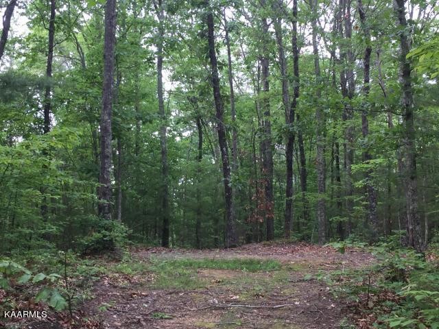 192 Utah Road Tellico Plains, TN 37385 - Photo 8 of 11 Gallery Image 8