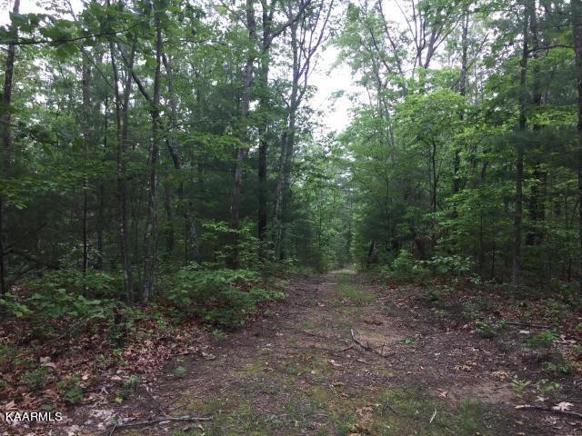 192 Utah Road Tellico Plains, TN 37385 - Photo 10 of 11 Gallery Image 10