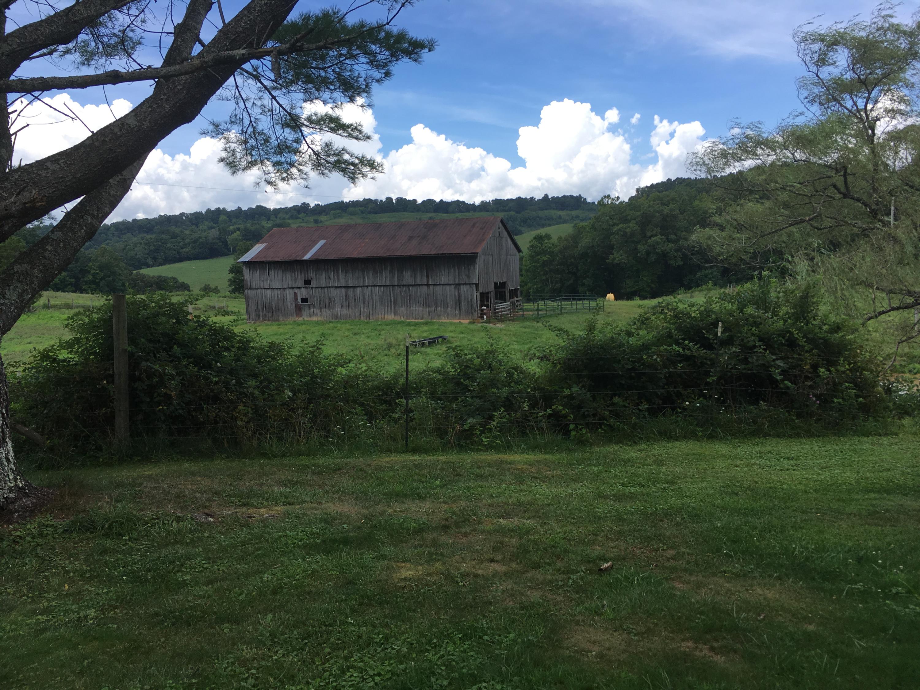 3380 Powell River Road Tazewell, TN 37879 - Photo 12 of 37 B24BF2D5-DF15-4E93-8B29-E026C74B30A8