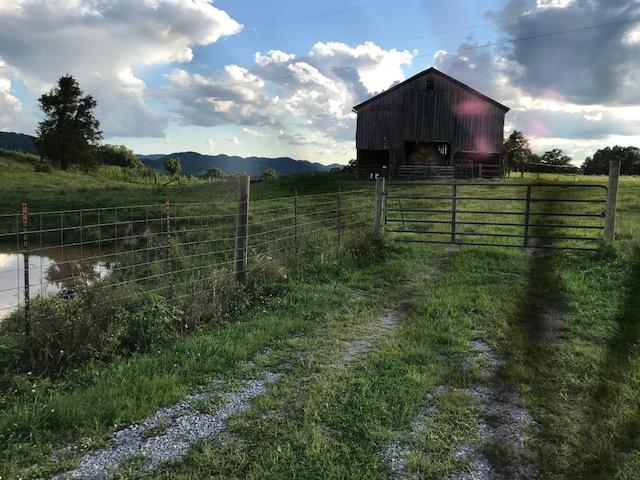 3380 Powell River Road Tazewell, TN 37879 - Photo 18 of 37 IMG_4207