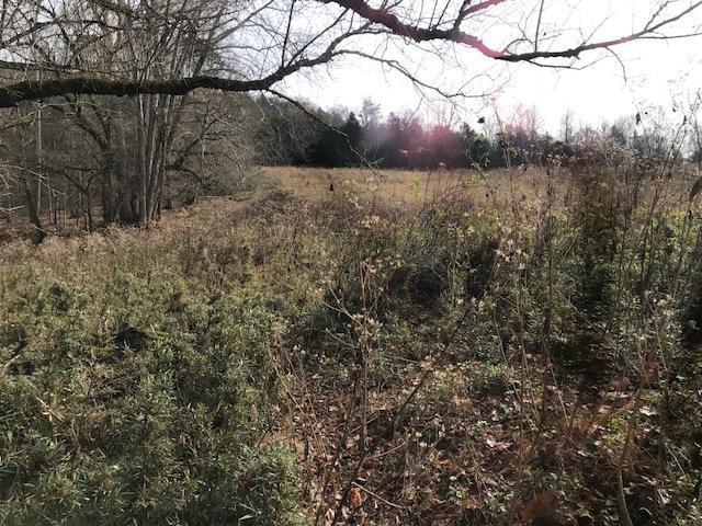 3380 Powell River Road Tazewell, TN 37879 - Photo 37 of 37 river bottom