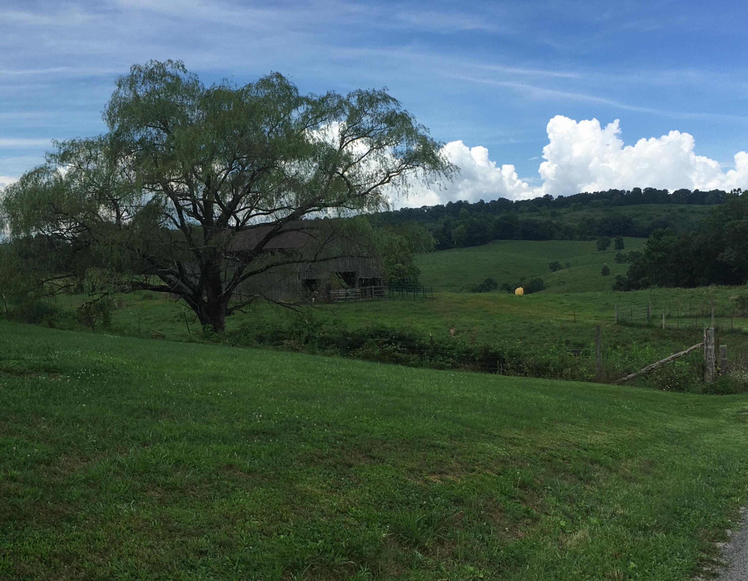 3380 Powell River Road Tazewell, TN 37879 - Photo 8 of 37 024EDDB4-0177-4F01-A8B9-A86841BC0EE2